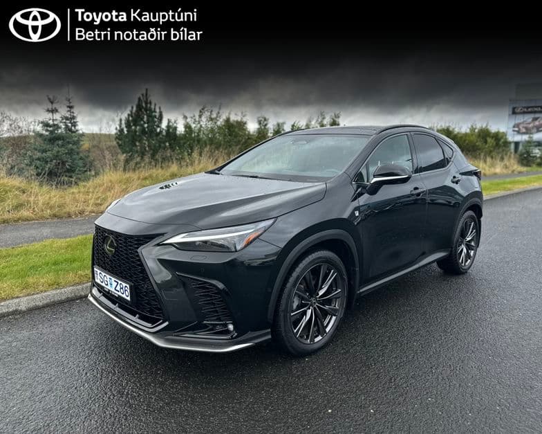 2025 Lexus NX 450h+ F-Sport PHEV Panoram