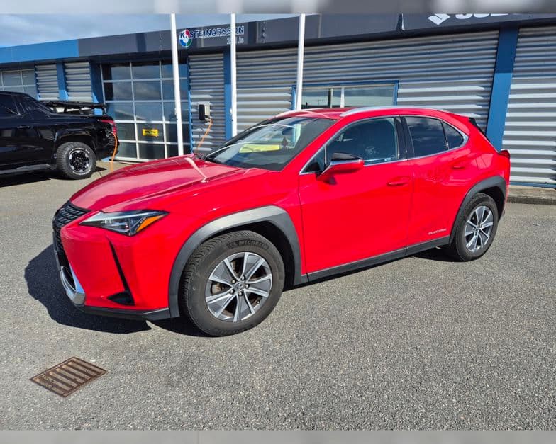 2021 Lexus UX 300e