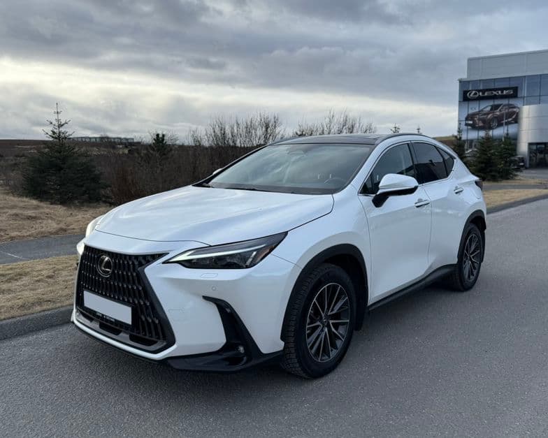 2025 Lexus NX 450h+ EXE PHEV Panorama