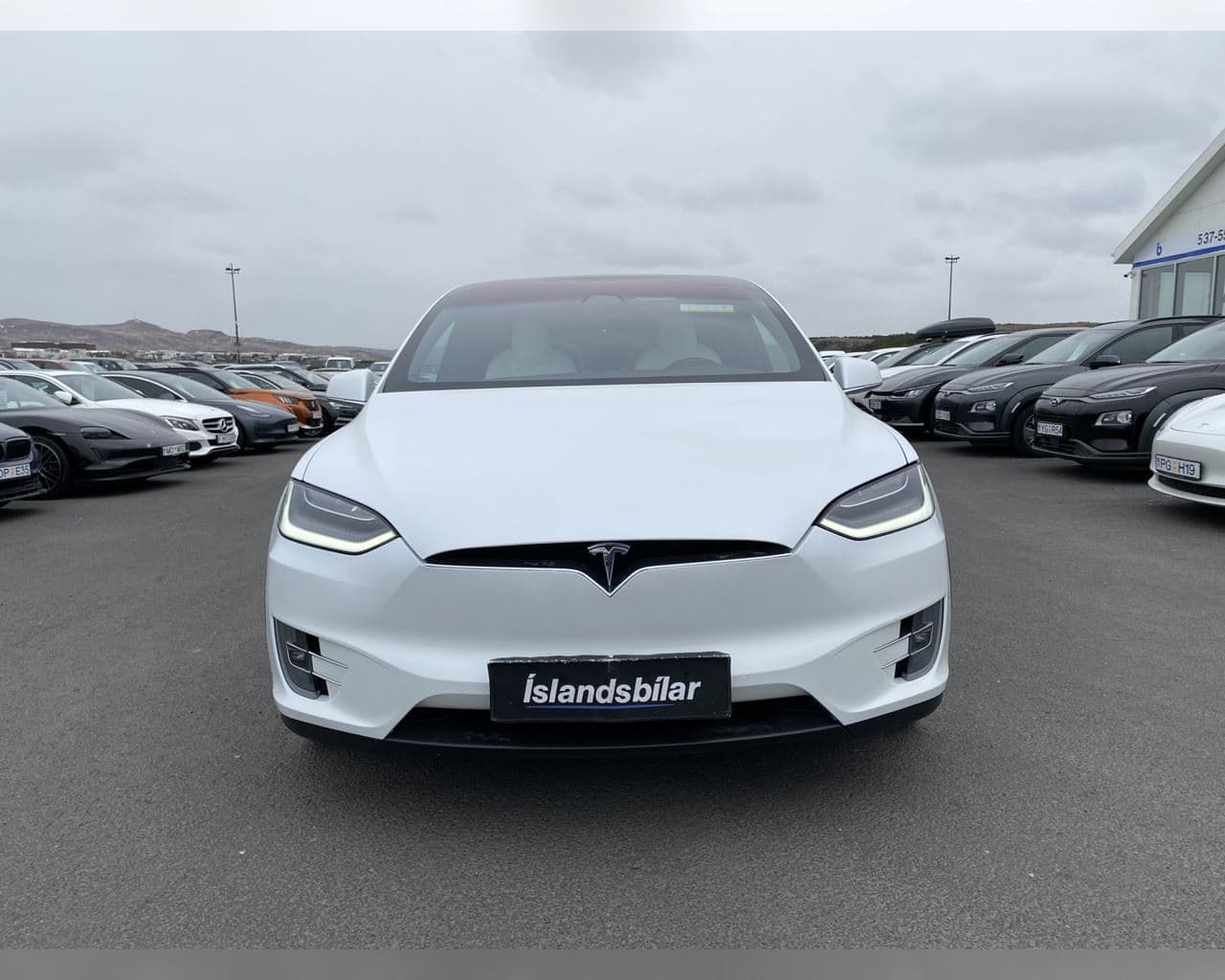 2020 Tesla Model X
