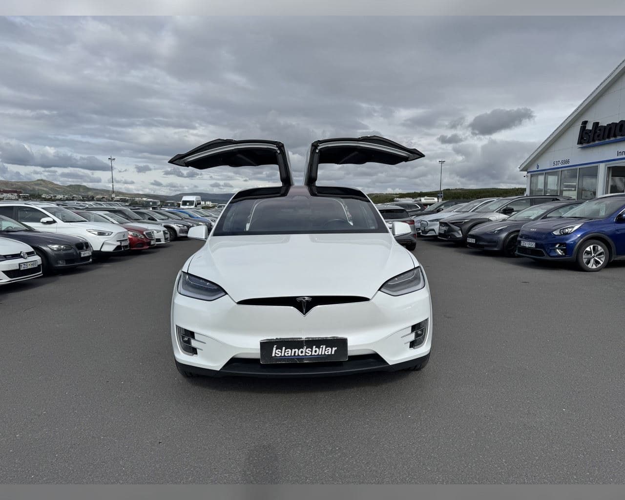 2020 Tesla Model X