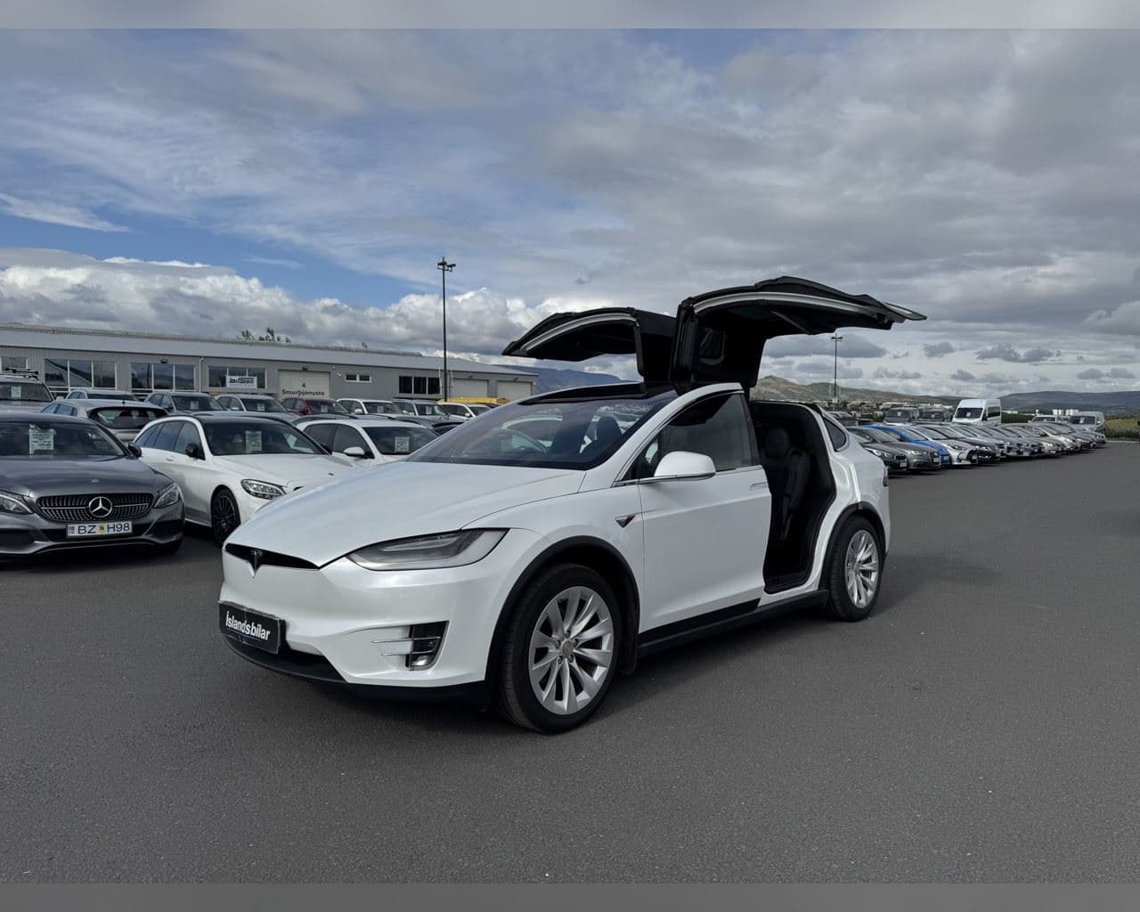 2020 Tesla Model X