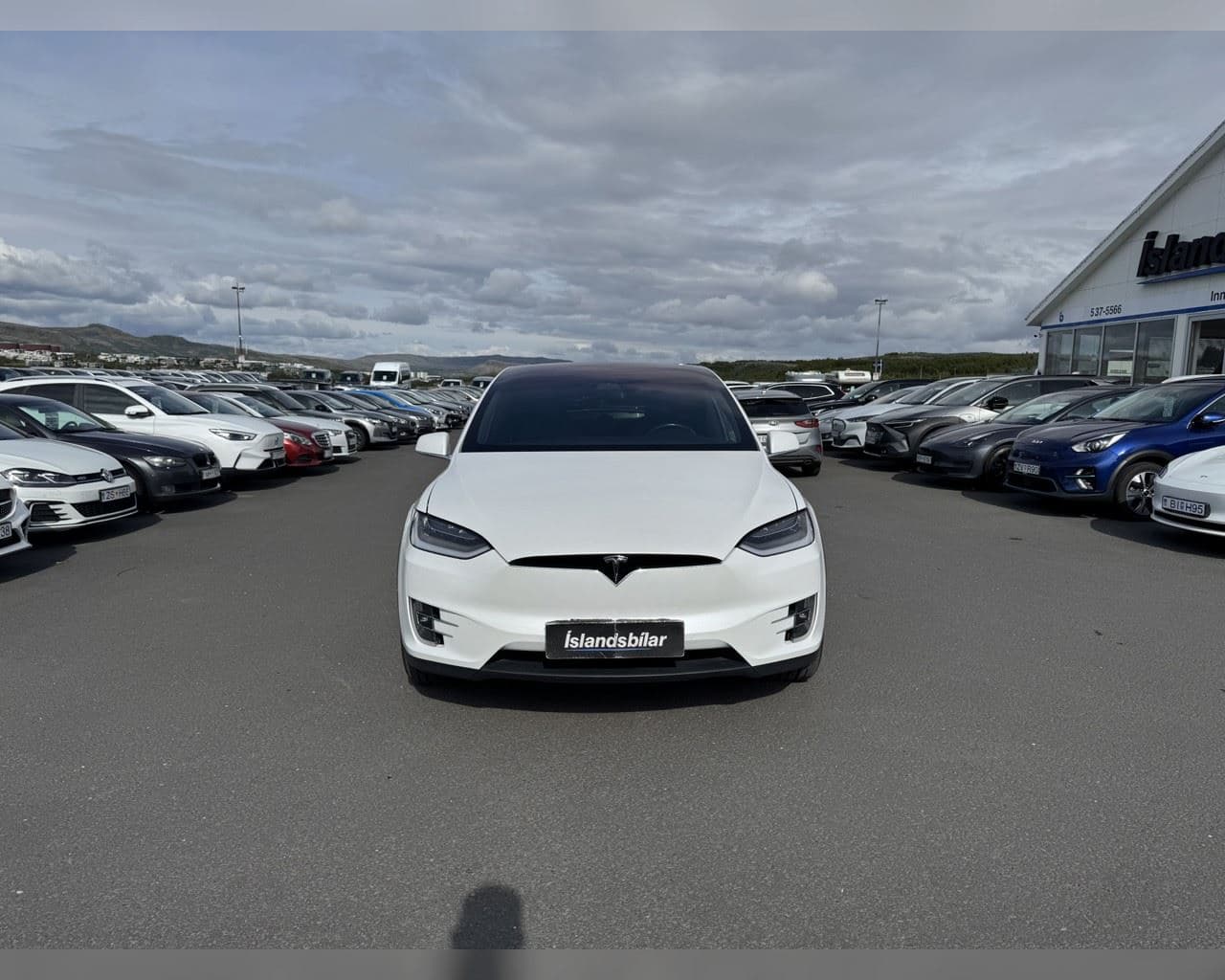 2020 Tesla Model X