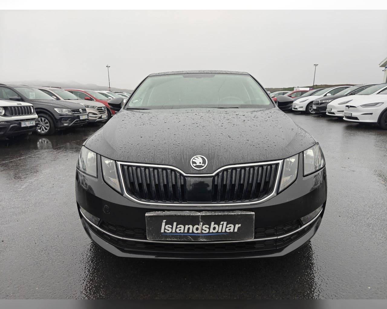2019 Škoda Octavia