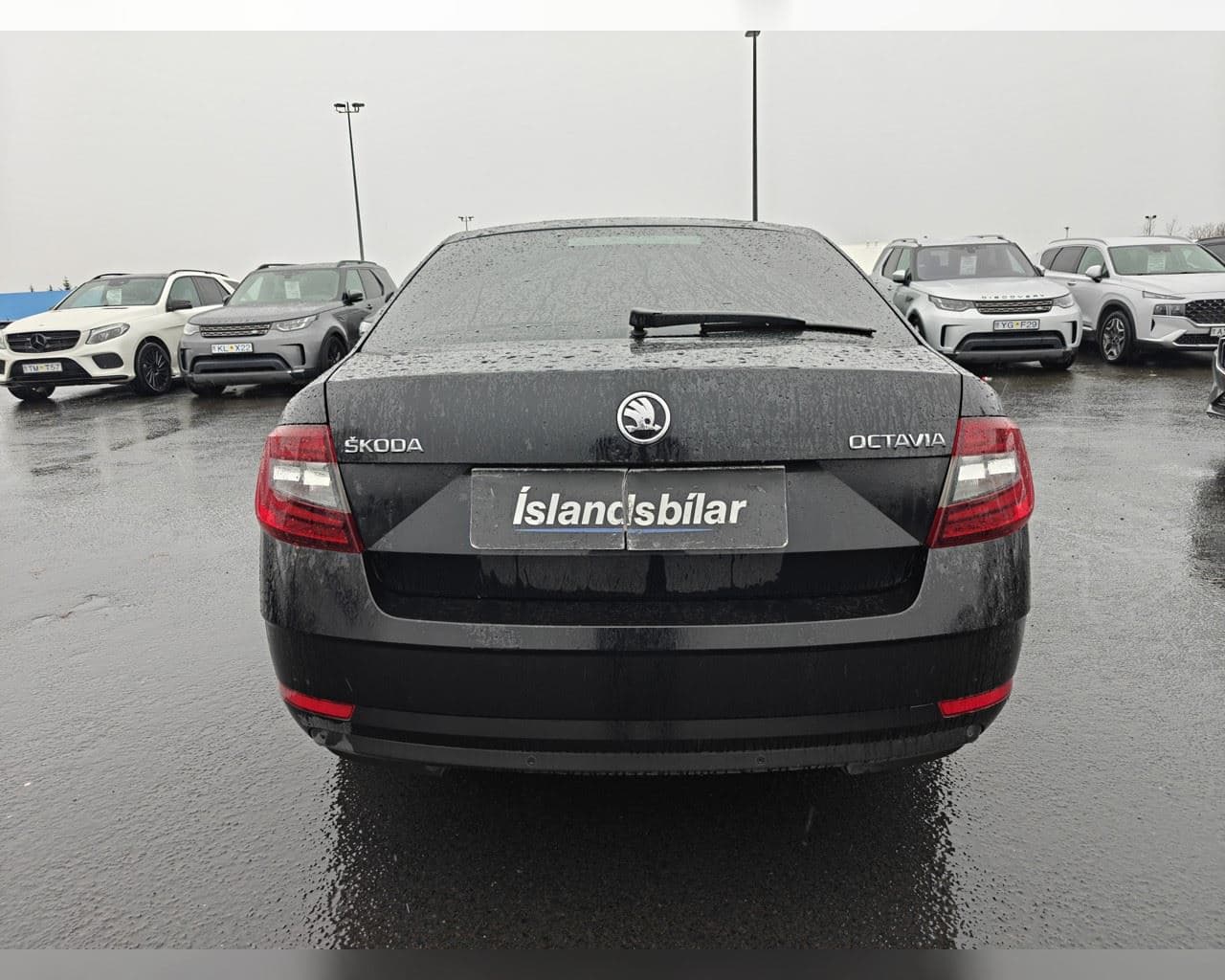 2019 Škoda Octavia