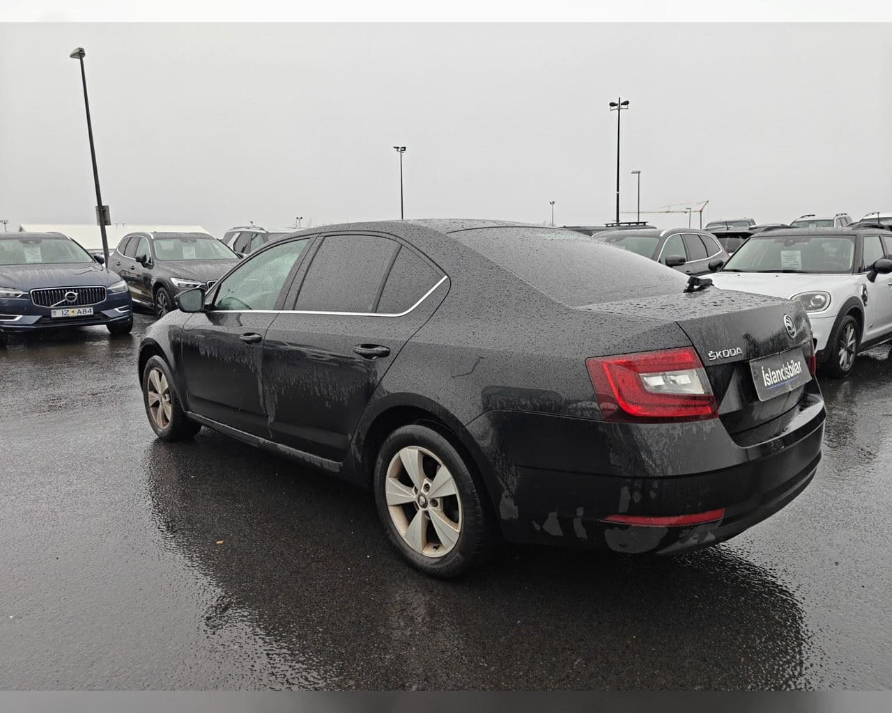 2019 Škoda Octavia