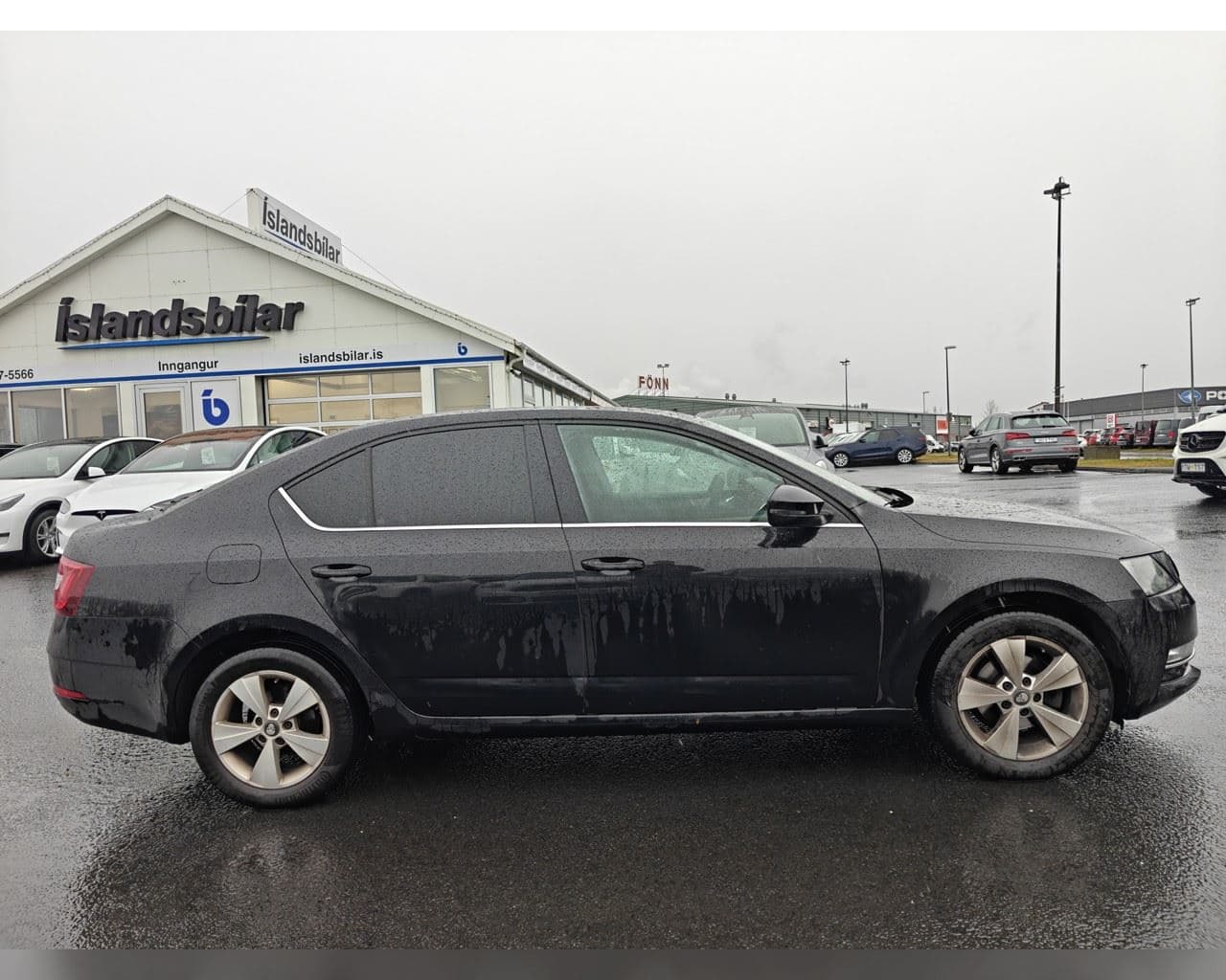 2019 Škoda Octavia