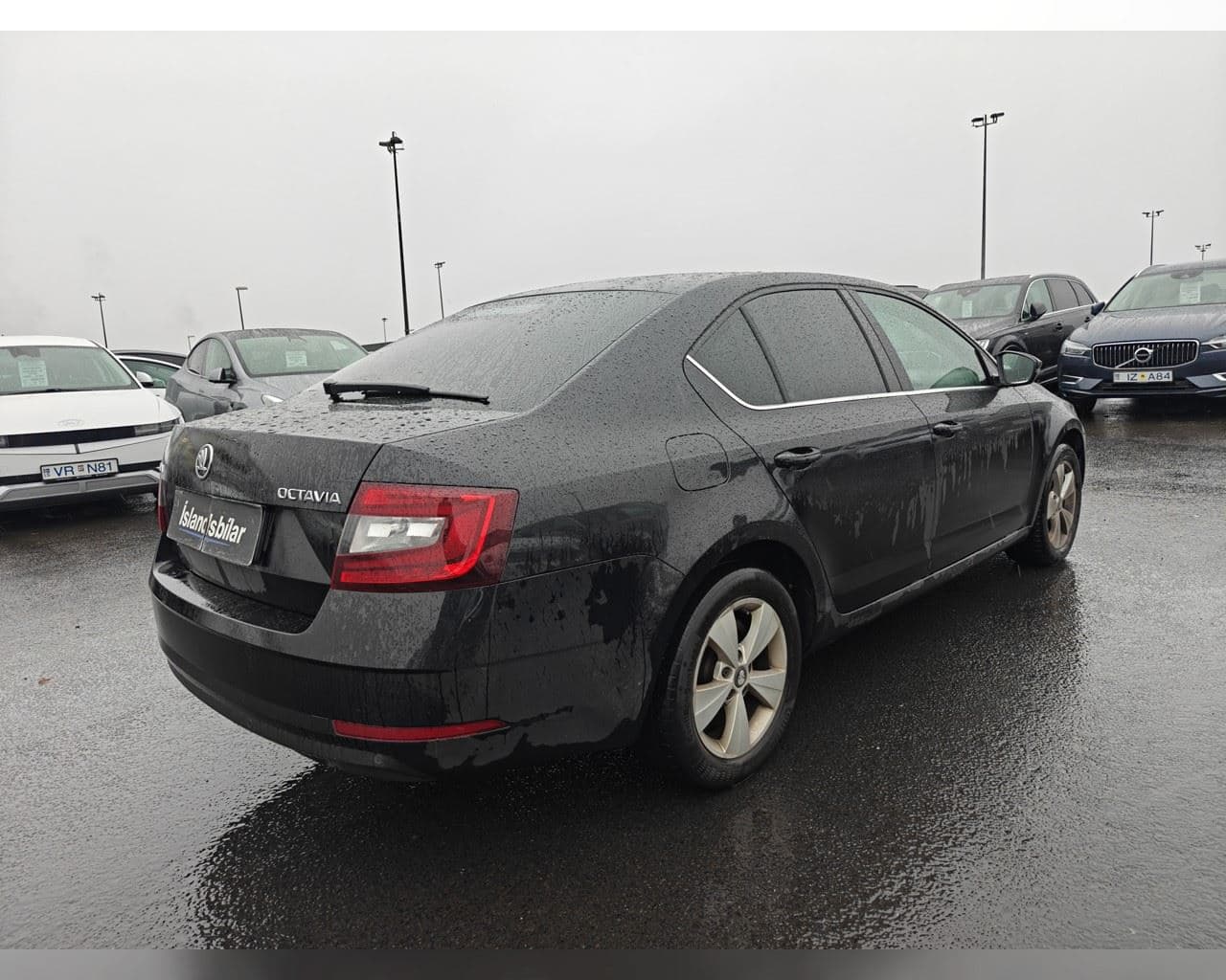2019 Škoda Octavia