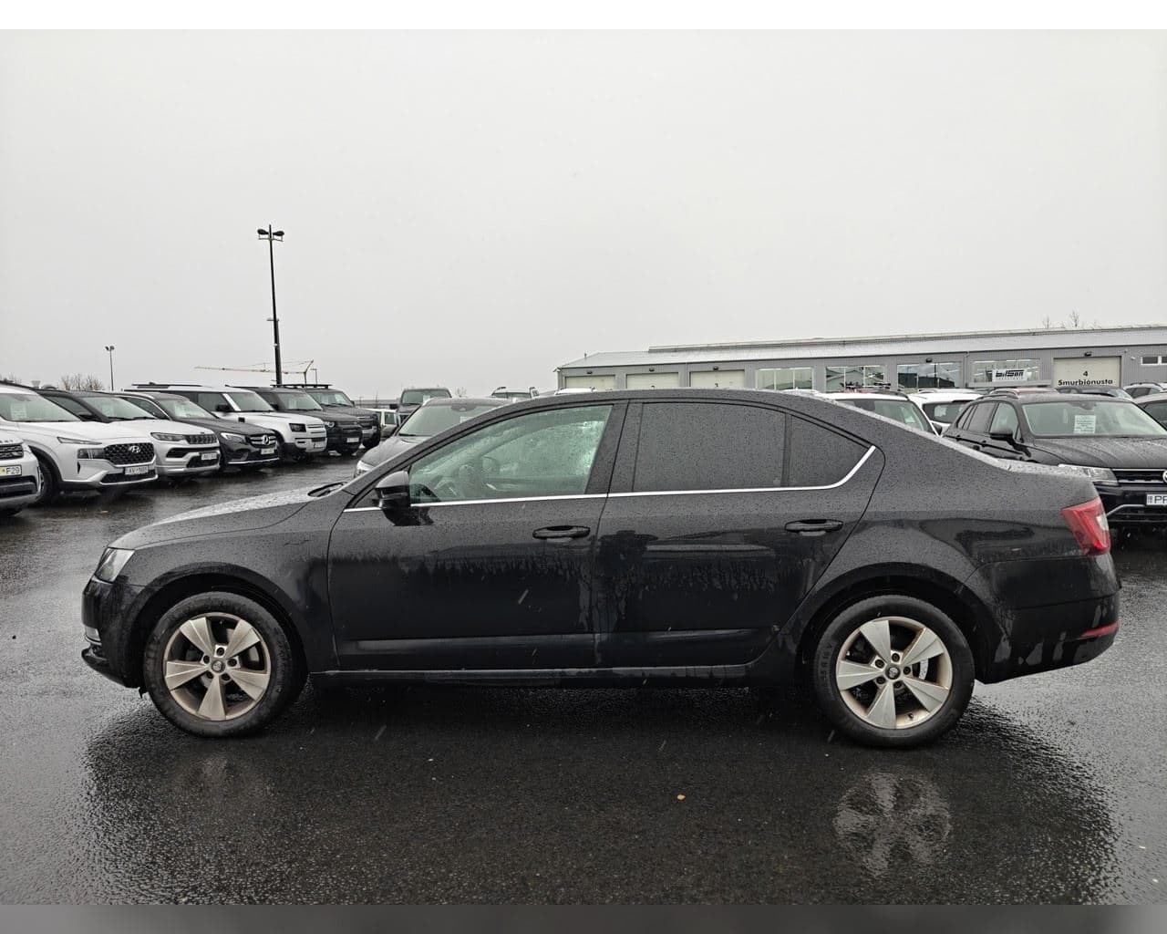 2019 Škoda Octavia