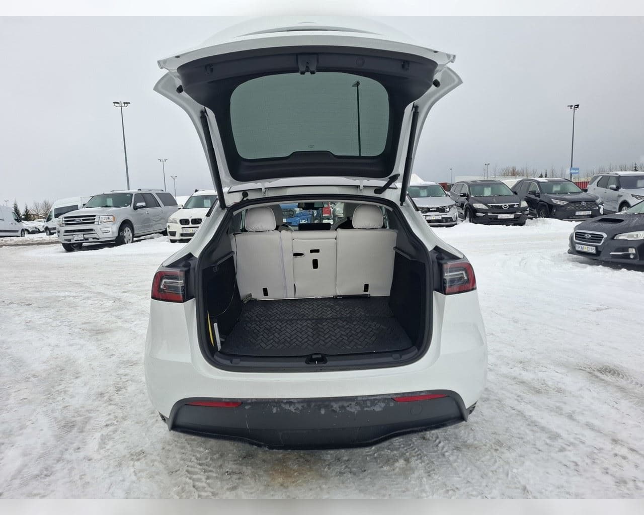 2024 Tesla Model Y