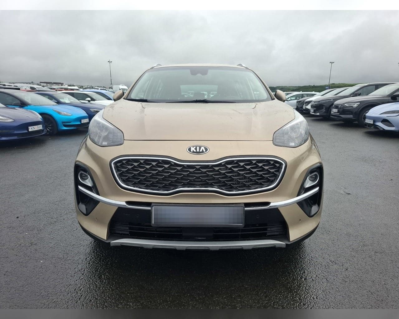 2019 Kia Sportage