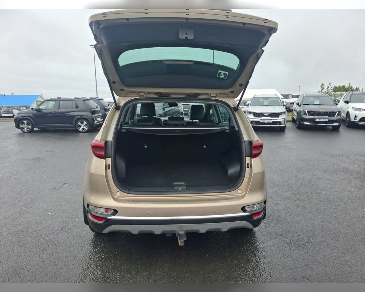 2019 Kia Sportage
