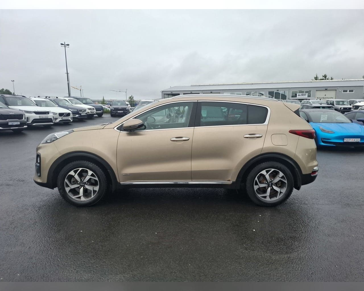 2019 Kia Sportage