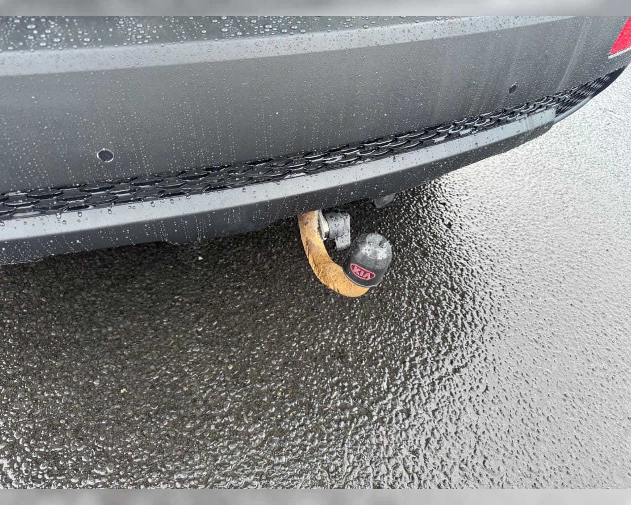 2012 Kia Sorento