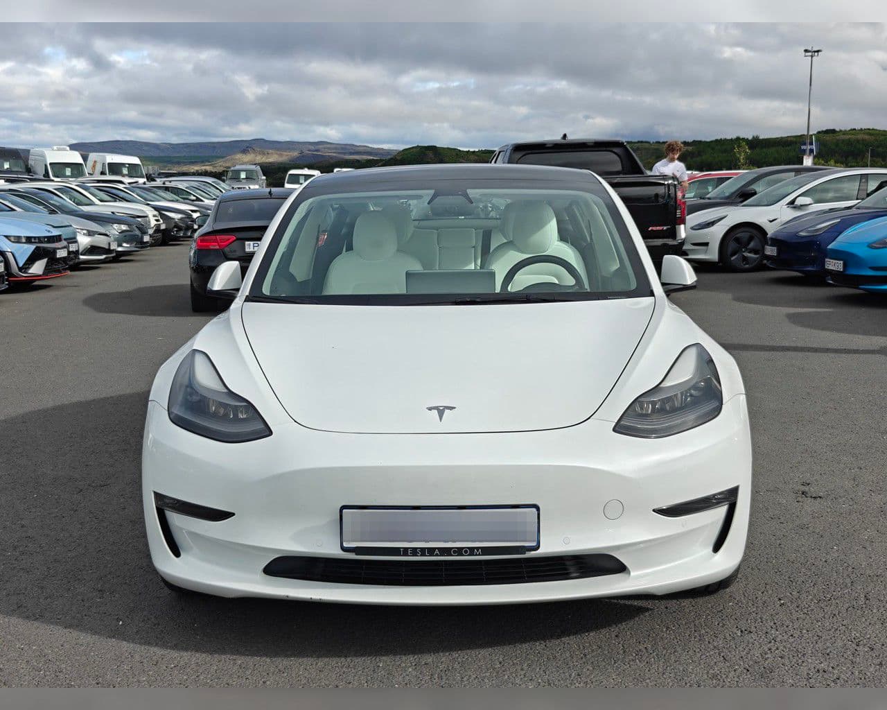 2021 Tesla Model 3