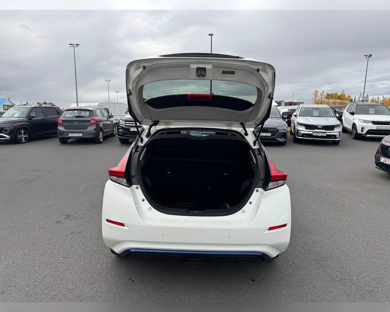 2021 Nissan Leaf