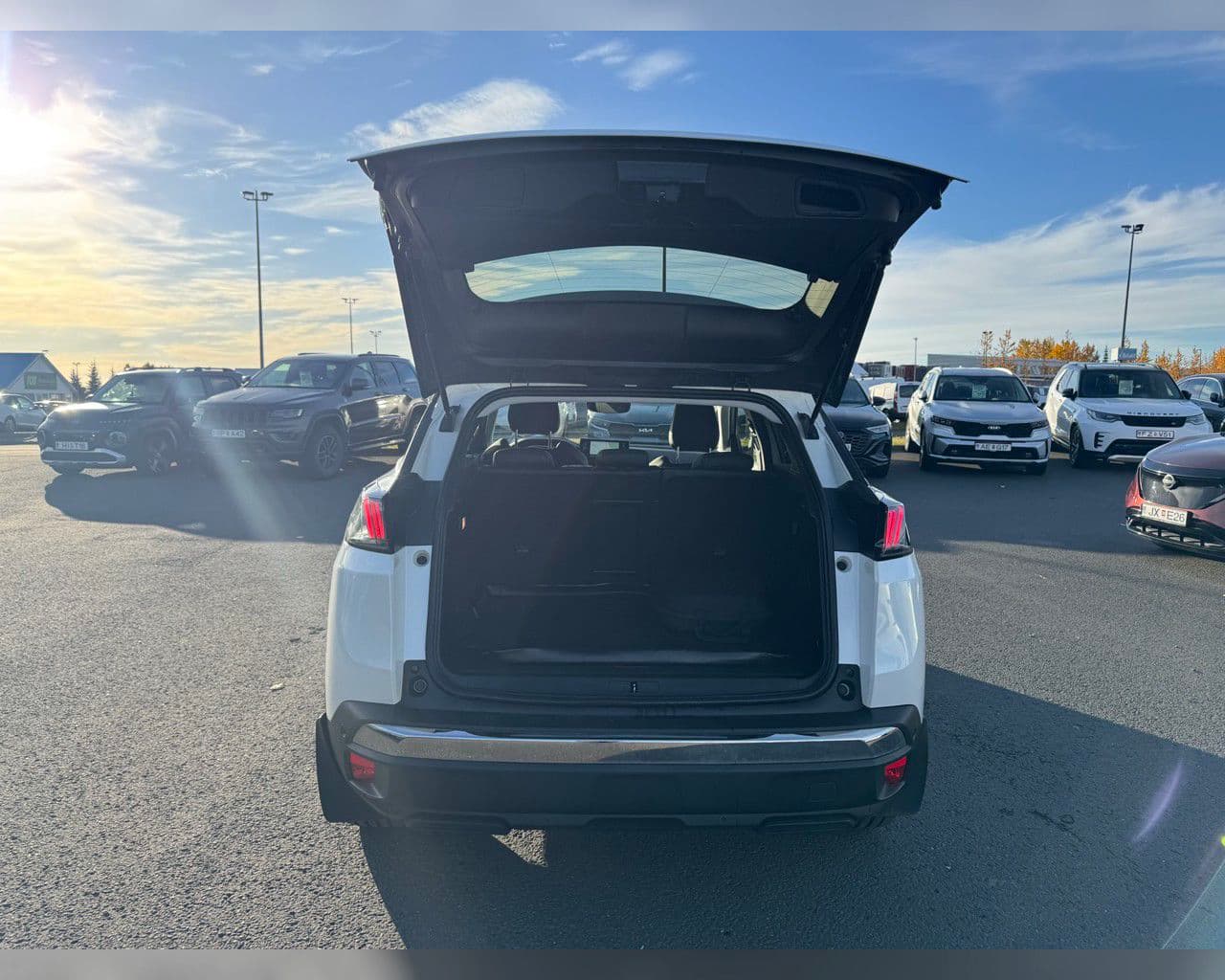 2021 Peugeot 3008