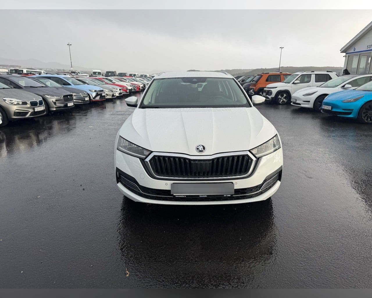 2023 Škoda Octavia