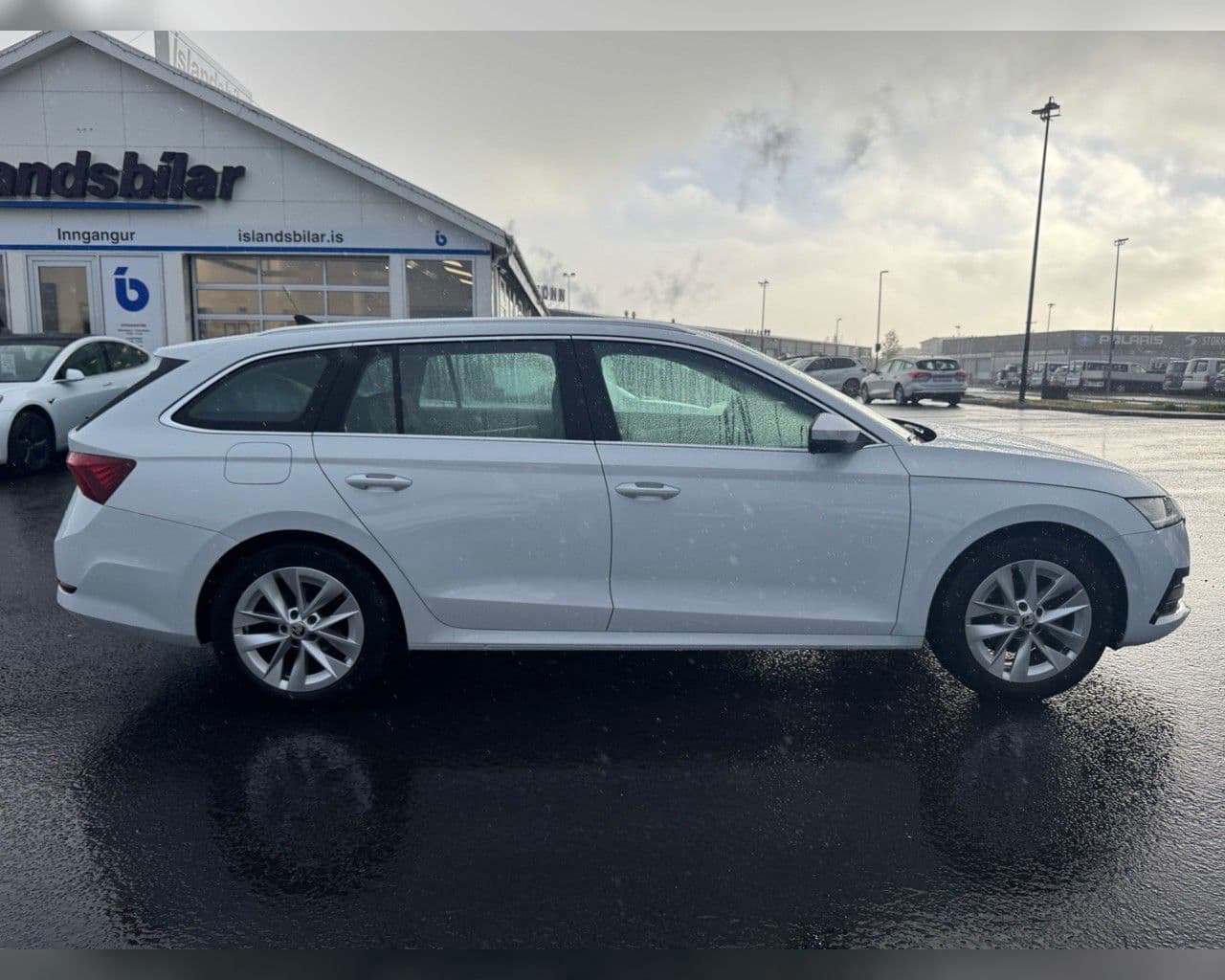 2023 Škoda Octavia
