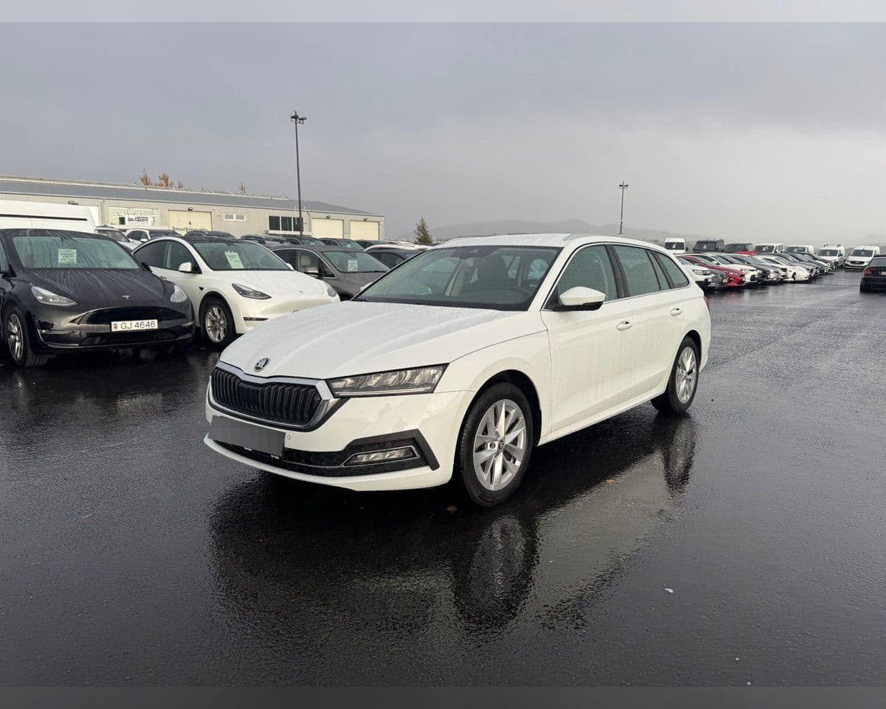 2023 Škoda Octavia