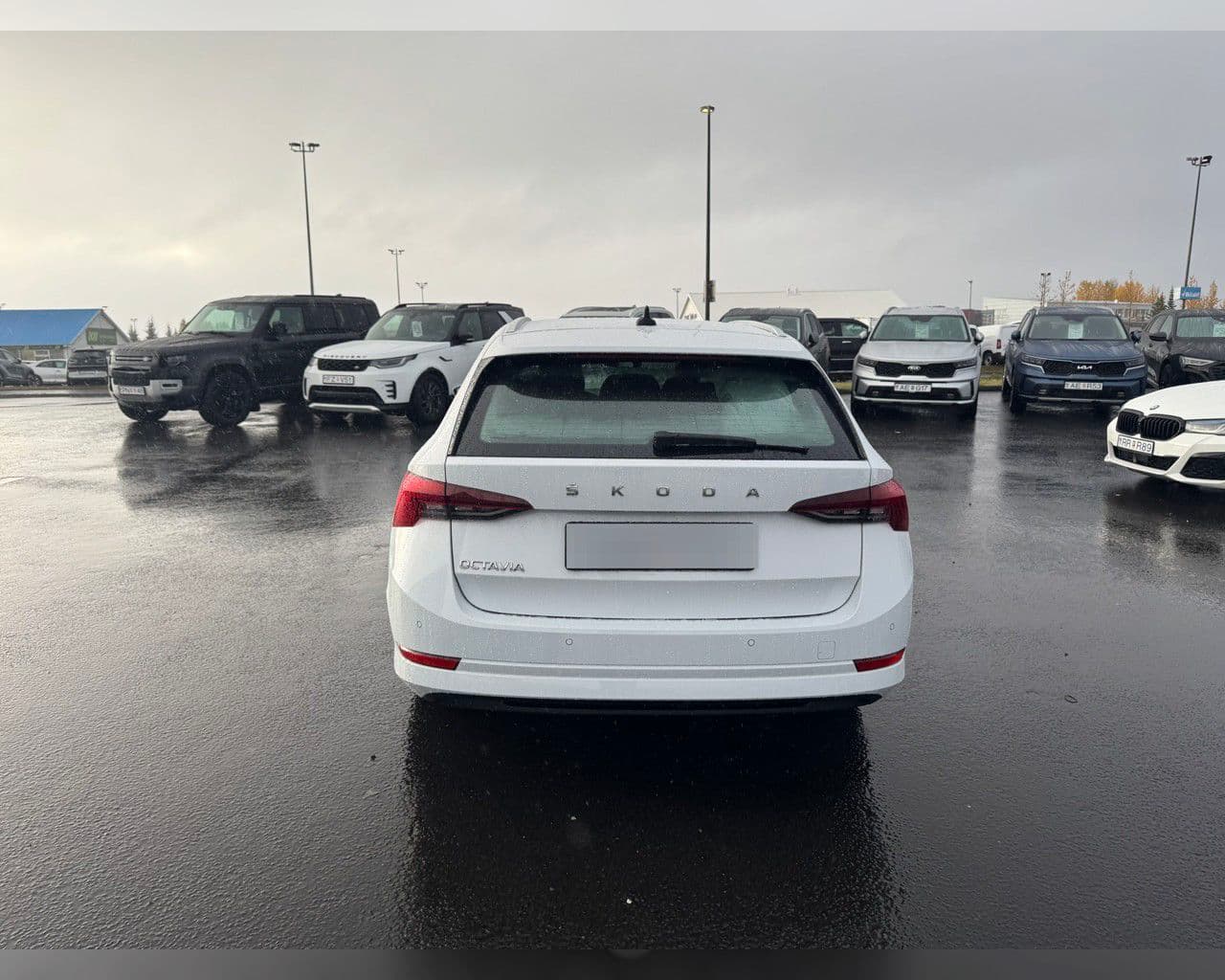 2023 Škoda Octavia