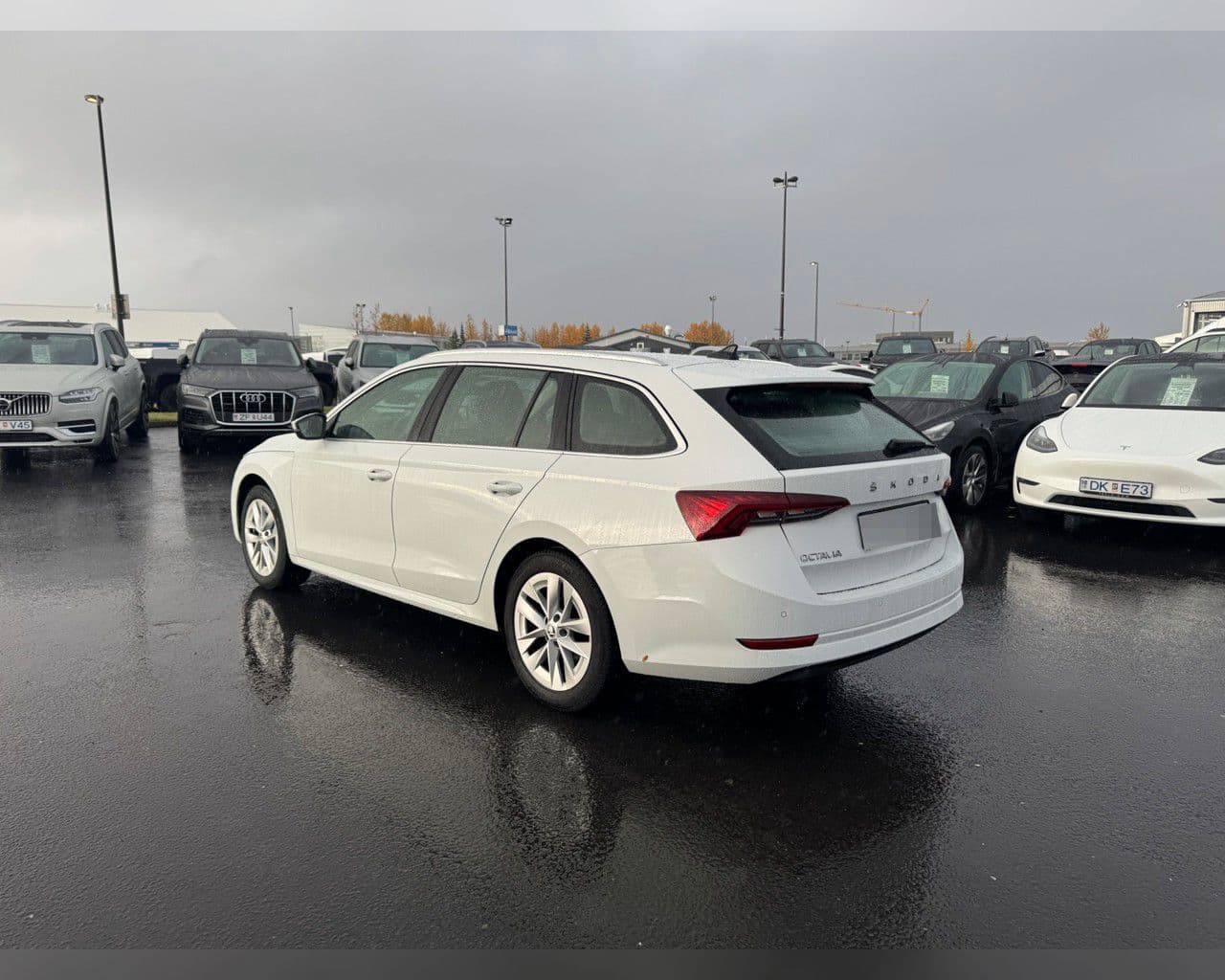 2023 Škoda Octavia
