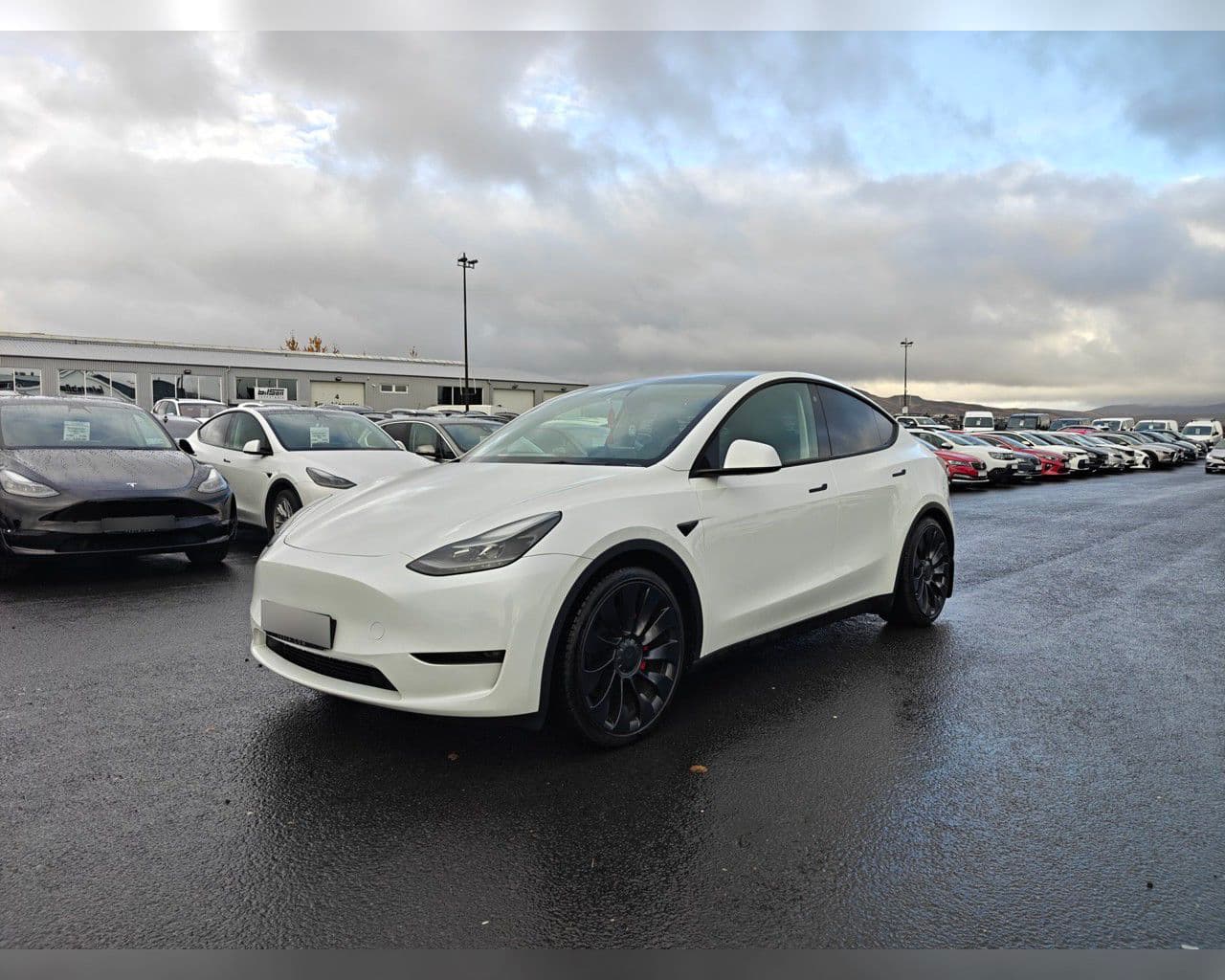 2022 Tesla Model Y