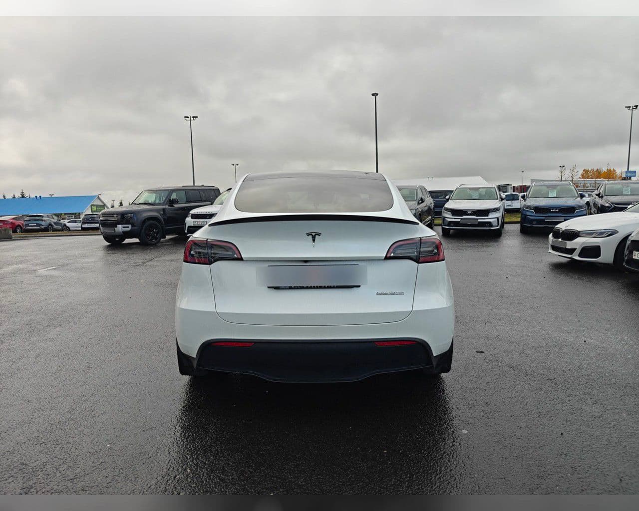2022 Tesla Model Y