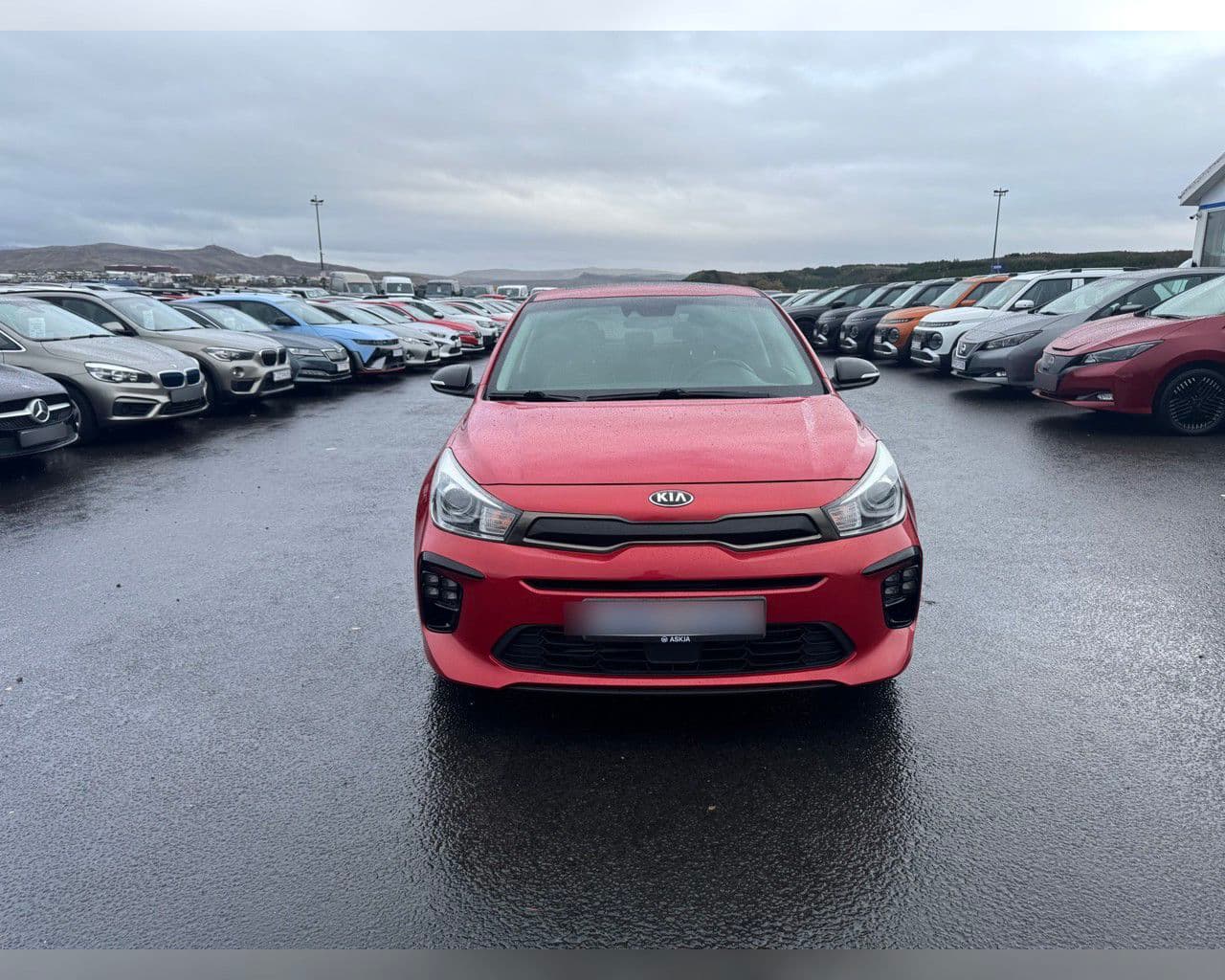 2019 Kia Rio