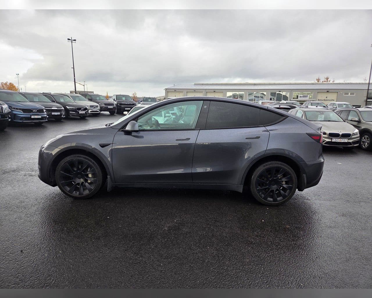 2021 Tesla Model Y