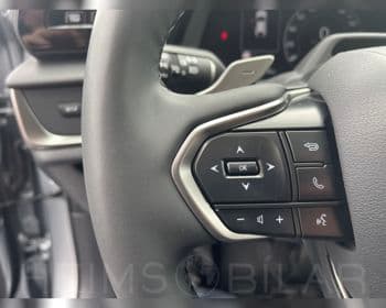 2025 Lexus RZ 450e EXE Panorama