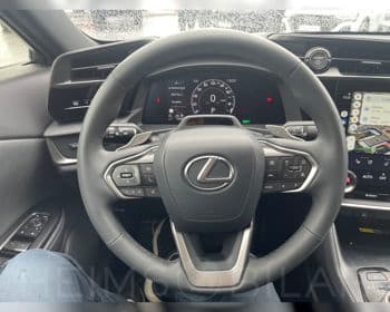 2025 Lexus RZ 450e EXE Panorama