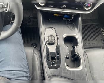 2025 Lexus RZ 450e EXE Panorama