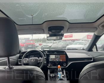 2025 Lexus RZ 450e EXE Panorama