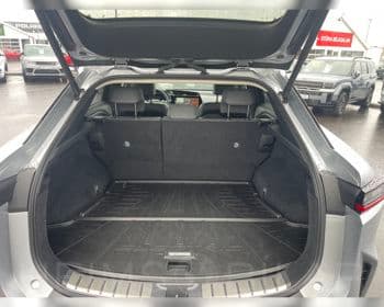 2025 Lexus RZ 450e EXE Panorama