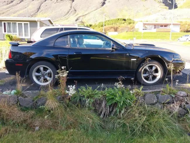 2003 Ford Mustang