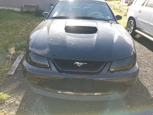 2003 Ford Mustang