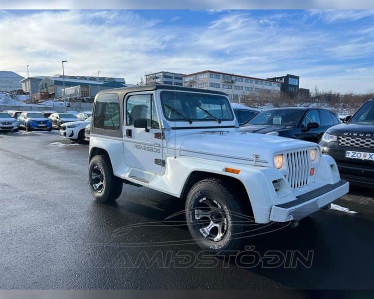 1993 Jeep Wrangler Renegade