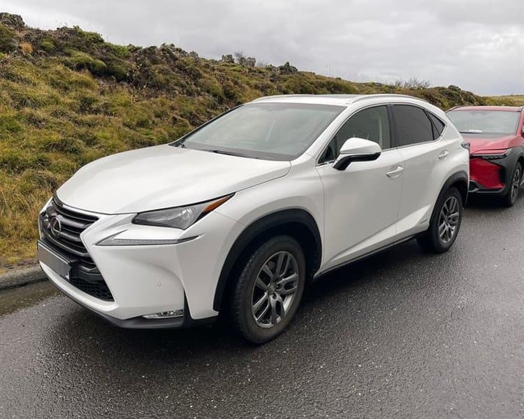 2015 Lexus NX 300h EXE Hybrid Sóllúga