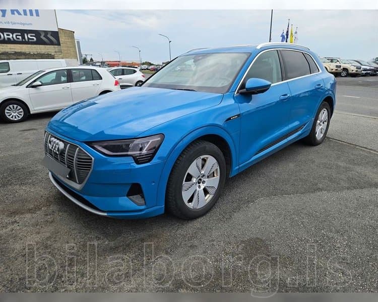 2019 Audi e-tron 55