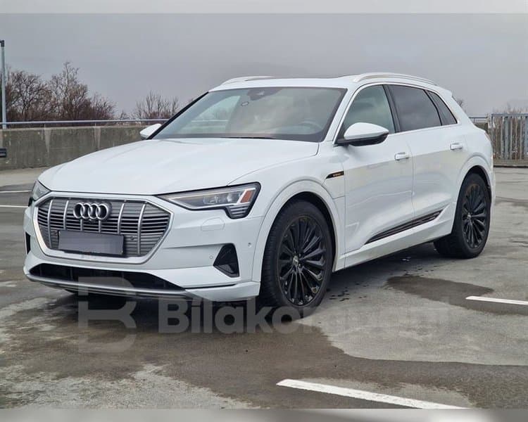 2019 Audi e-tron 55