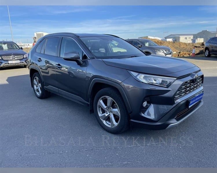 2019 Toyota RAV4 GX M/le RI