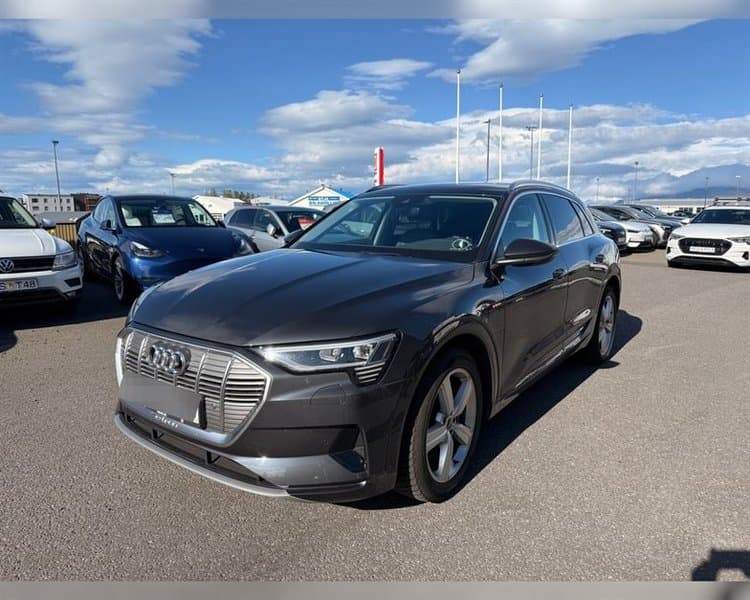 2020 Audi e-tron 50 Adance