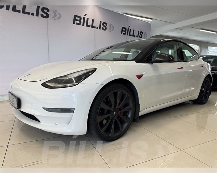 2020 Tesla Model 3 Performanse