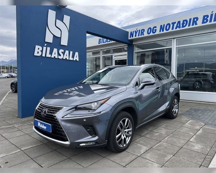 2021 Lexus NX 300h EXE