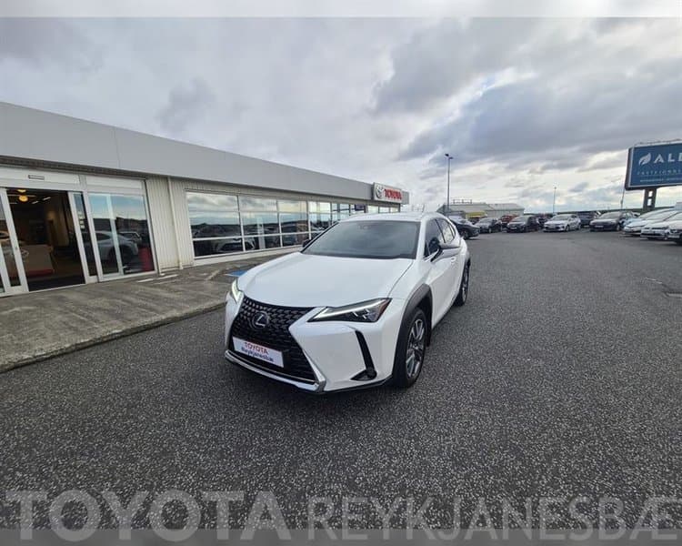 2021 Lexus UX 300e Luxury