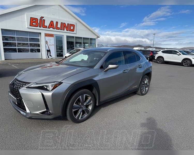 2021 Lexus UX 300e Premium