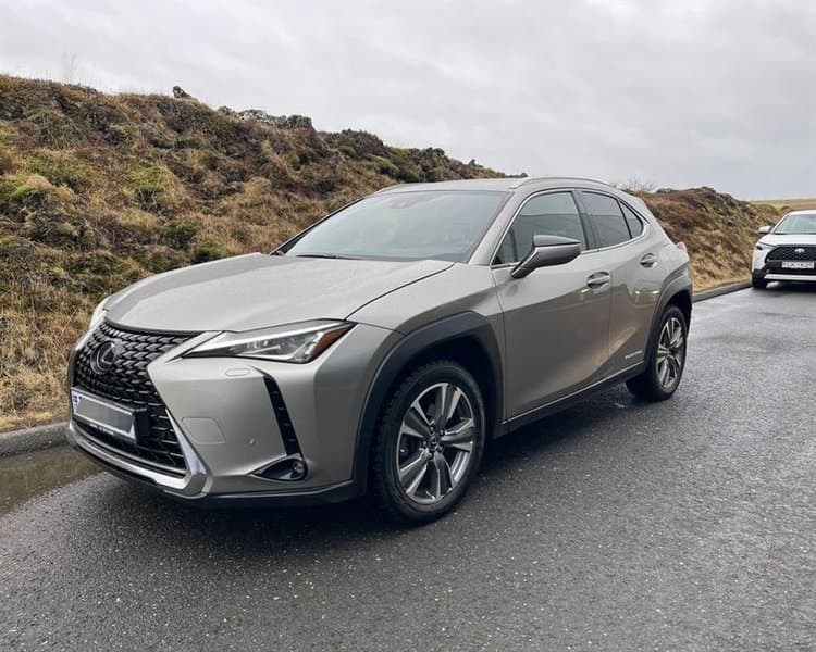 2021 Lexus UX 300e Premium Electirc