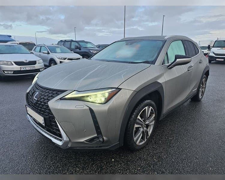 2022 Lexus UX 300e Luxury