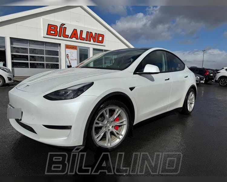 2022 Tesla Model Y Perfomance
